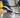 Are Polyaspartic Floors Slippery? What Matters